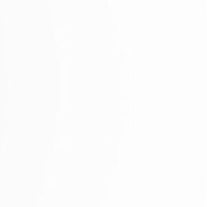 Bundle of make up brushes MAC